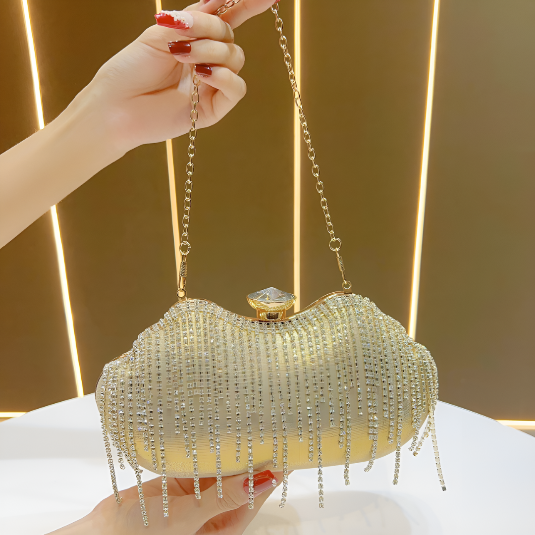 Ambrinee Fringe Clutch Bag
